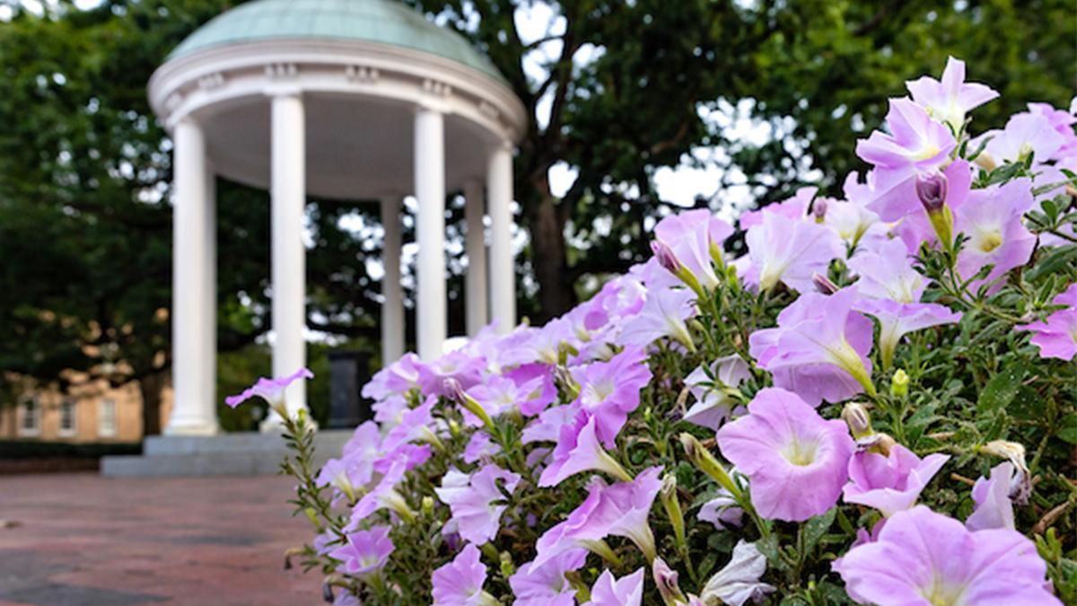 Old Well behind purple flowers in the foreground.